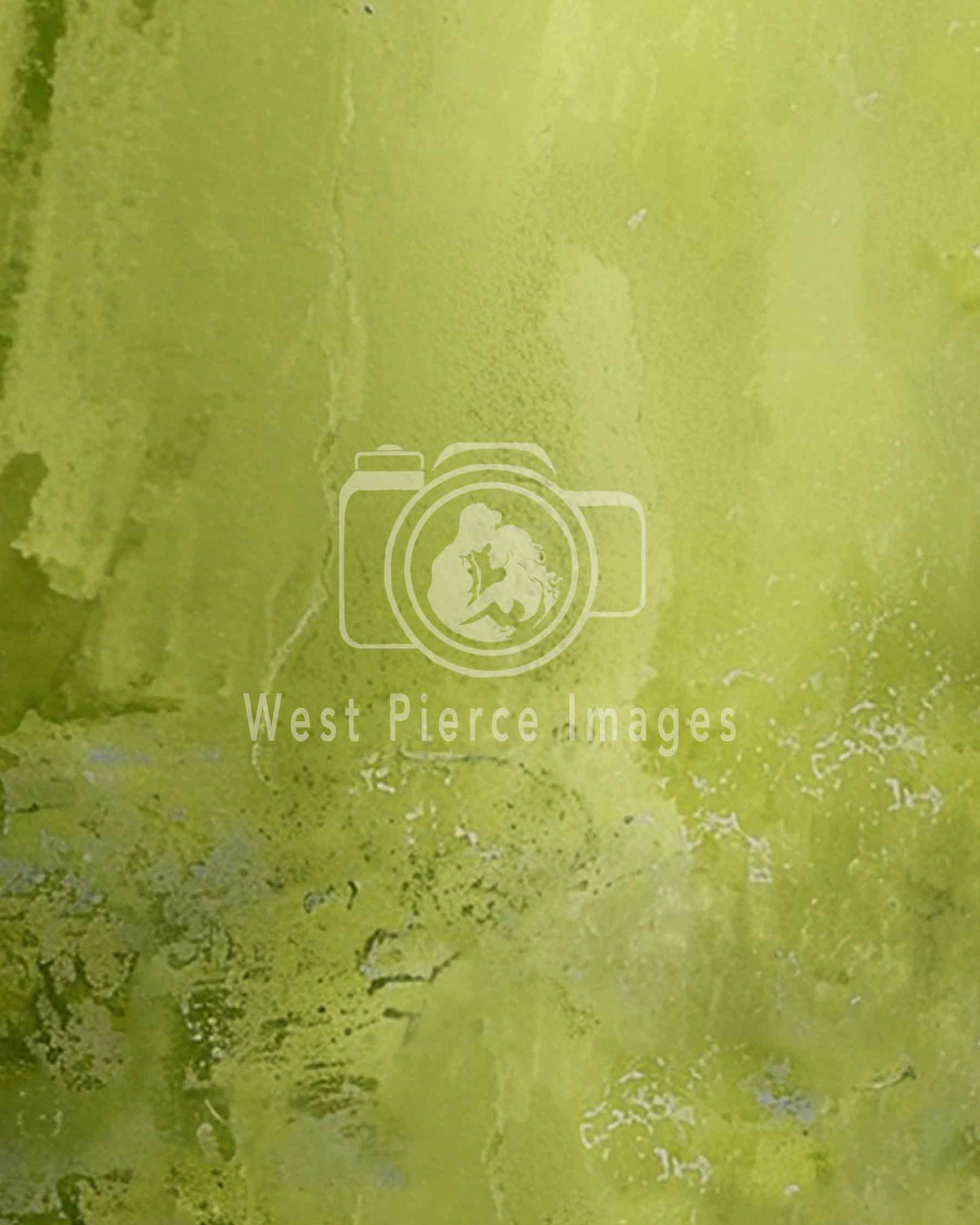 Weathered Chartreuse