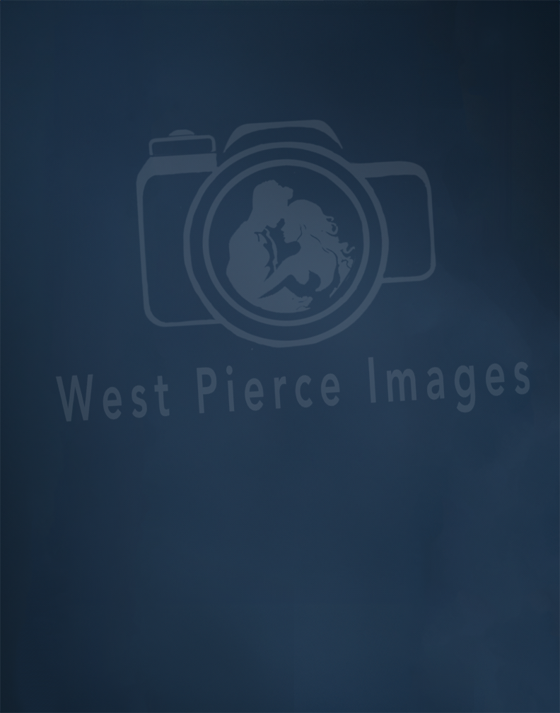 Professional Gun Metal Blue