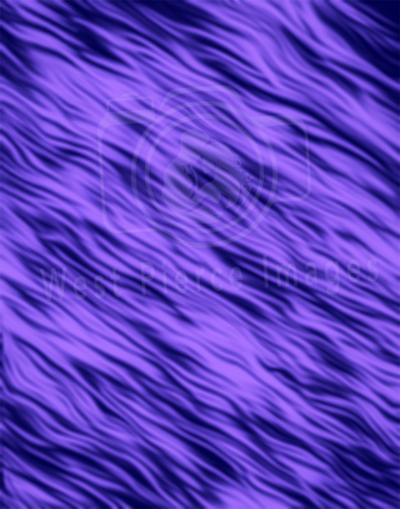 Rippling Lavender