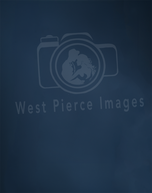 Professional Gun Metal Blue