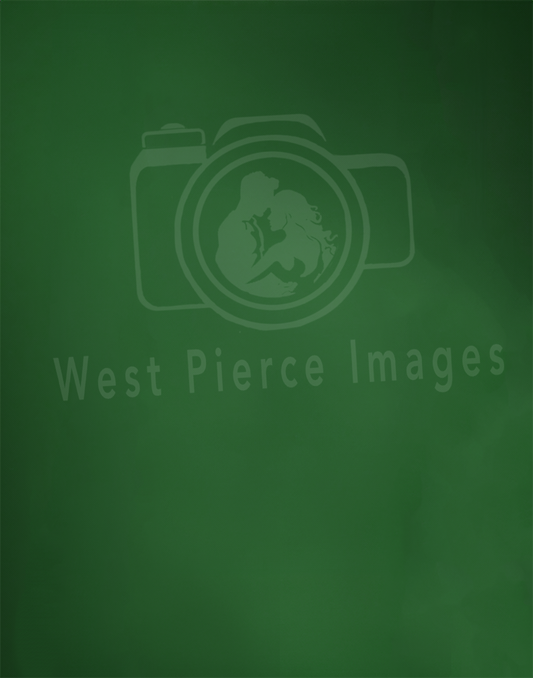 Professional Kelly Green