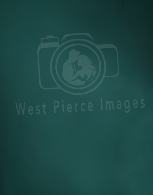 Professional Turquoize