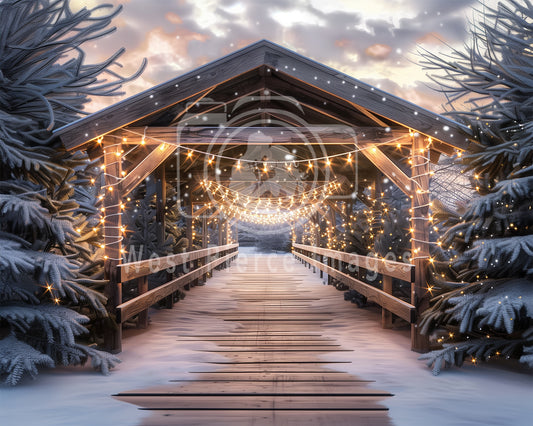 Snow Covered Bridge