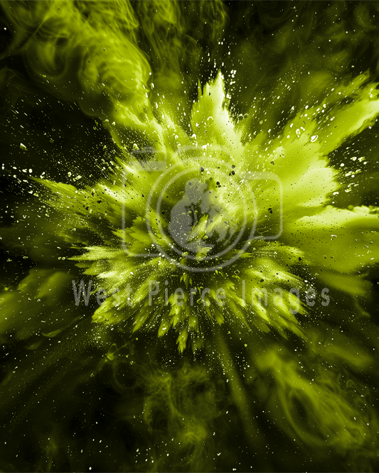 Chartreuse Powder Burst